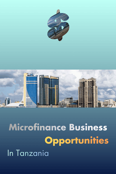 Microfinance business opportunities in Tanzania